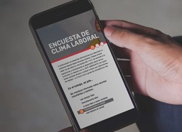 Encuestas de Clima Laboral